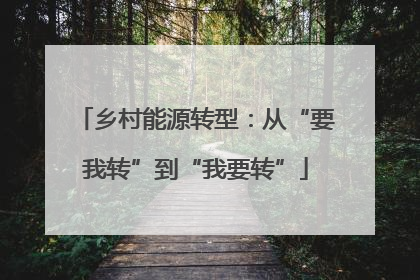 乡村能源转型：从“要我转”到“我要转”
