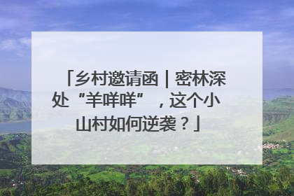 乡村邀请函｜密林深处“羊咩咩”，这个小山村如何逆袭？