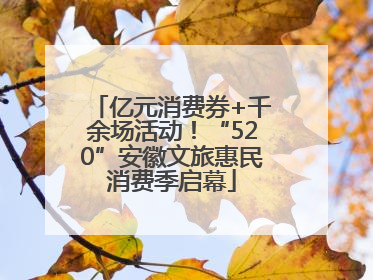 亿元消费券+千余场活动！“520”安徽文旅惠民消费季启幕