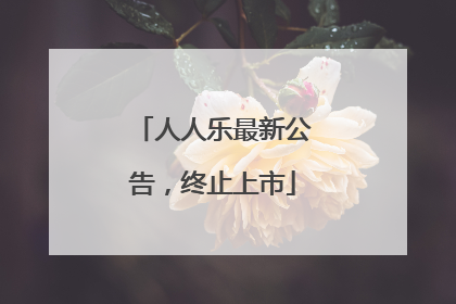 人人乐最新公告，终止上市