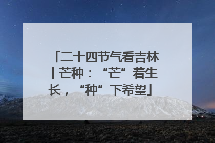 二十四节气看吉林丨芒种：“芒”着生长，“种”下希望