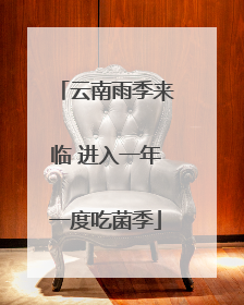 云南雨季来临 进入一年一度吃菌季