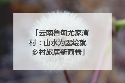 云南鲁甸尤家湾村：山水为墨绘就乡村旅居新画卷