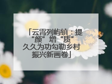 云霄列屿镇：提“颜”增“质” 久久为功勾勒乡村振兴新画卷