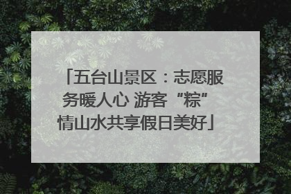 五台山景区：志愿服务暖人心 游客“粽”情山水共享假日美好