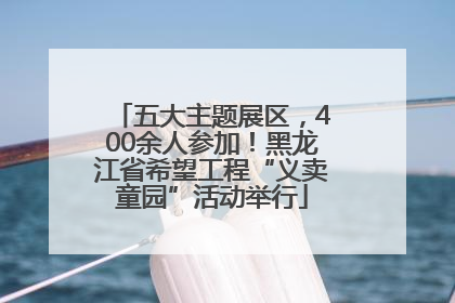 五大主题展区，400余人参加！黑龙江省希望工程“义卖童园”活动举行