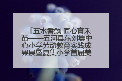 五水香飘 匠心育禾苗——五河县东刘集中心小学劳动教育实践成果展暨夏集小学首届美食节盛大举行