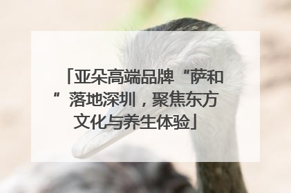 亚朵高端品牌“萨和”落地深圳，聚焦东方文化与养生体验