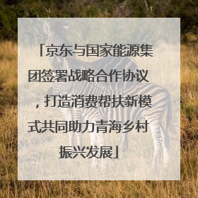 京东与国家能源集团签署战略合作协议，打造消费帮扶新模式共同助力青海乡村振兴发展