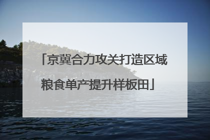 京冀合力攻关打造区域粮食单产提升样板田