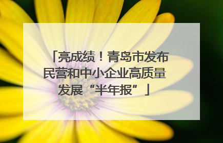 亮成绩！青岛市发布民营和中小企业高质量发展“半年报”