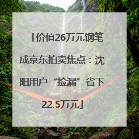 价值26万元钢笔成京东拍卖焦点：沈阳用户“捡漏”省下22.5万元