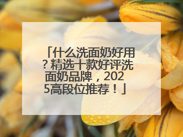 什么洗面奶好用？精选十款好评洗面奶品牌，2025高段位推荐！