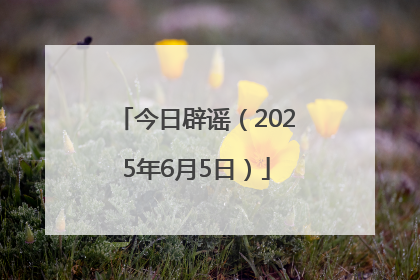 今日辟谣（2025年6月5日）