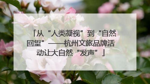 从“人类凝视”到“自然回望”——杭州文旅品牌活动让大自然“发声”