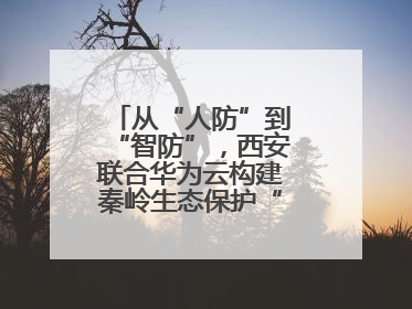 从“人防”到“智防”，西安联合华为云构建秦岭生态保护“数字屏障”