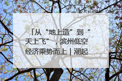 从“地上造”到“天上飞”，滨州低空经济乘势而上｜潮起渤海・网聚黄蓝