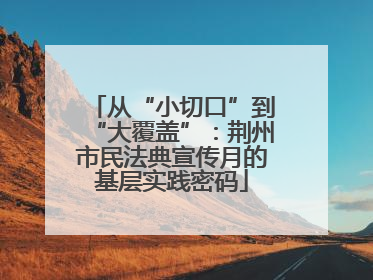 从“小切口”到“大覆盖”：荆州市民法典宣传月的基层实践密码