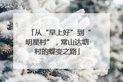 从“早上好”到“明星村”，常山达塘村的蝶变之路