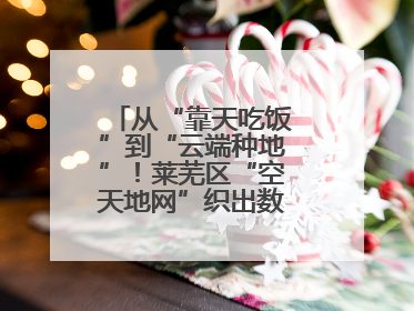 从“靠天吃饭”到“云端种地”！莱芜区“空天地网”织出数字农业新图景