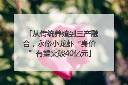 从传统养殖到三产融合，永修小龙虾“身价”有望突破40亿元