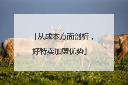 从成本方面剖析，好特卖加盟优势