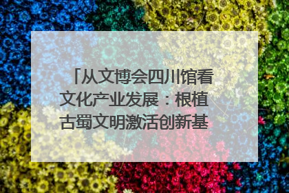 从文博会四川馆看文化产业发展：根植古蜀文明激活创新基因｜文博向“新”