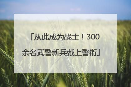 从此成为战士！300余名武警新兵戴上警衔