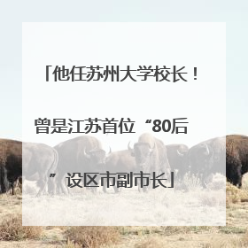 他任苏州大学校长！曾是江苏首位“80后”设区市副市长