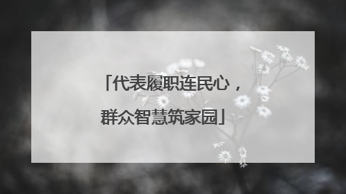 代表履职连民心，群众智慧筑家园