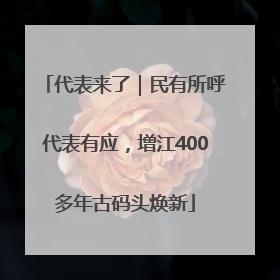 代表来了｜民有所呼代表有应，增江400多年古码头焕新