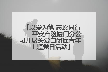 以爱为笔 志愿同行——平安产险厦门分公司开展关爱自闭症青年主题党日活动