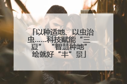 以种适地、以虫治虫……科技赋能“三夏” “智慧种地”绘就好“丰”景