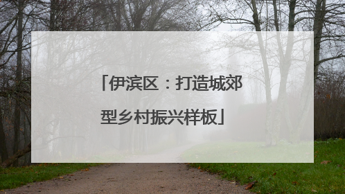 伊滨区：打造城郊型乡村振兴样板