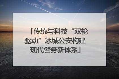 传统与科技“双轮驱动”冰城公安构建现代警务新体系