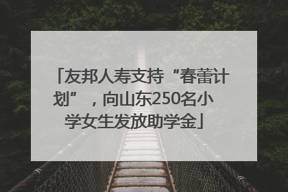 友邦人寿支持“春蕾计划”，向山东250名小学女生发放助学金