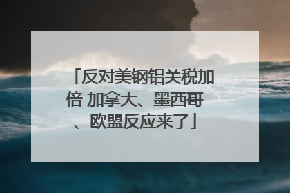 反对美钢铝关税加倍 加拿大、墨西哥、欧盟反应来了