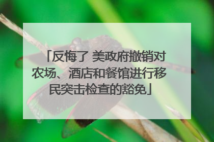 反悔了 美政府撤销对农场、酒店和餐馆进行移民突击检查的豁免