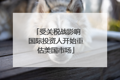 受关税战影响 国际投资人开始重估美国市场