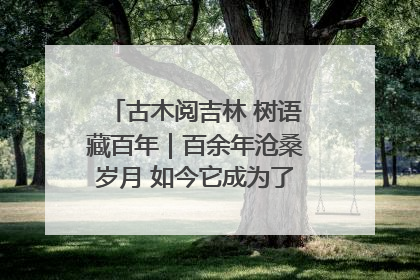 古木阅吉林 树语藏百年｜百余年沧桑岁月 如今它成为了“镇园之宝”
