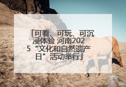 可看、可玩、可沉浸体验 河南2025“文化和自然遗产日”活动举行