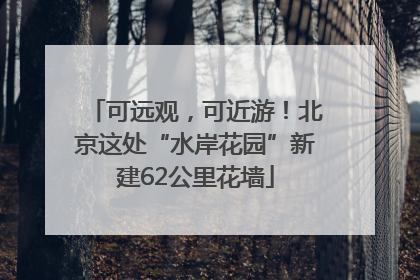 可远观，可近游！北京这处“水岸花园”新建62公里花墙