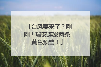 台风要来了？刚刚！瑞安连发两条黄色预警！
