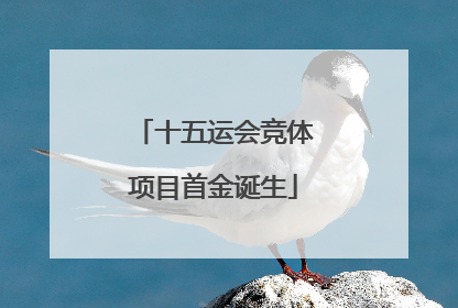 十五运会竞体项目首金诞生