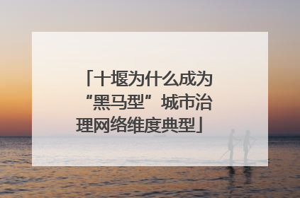 十堰为什么成为“黑马型”城市治理网络维度典型