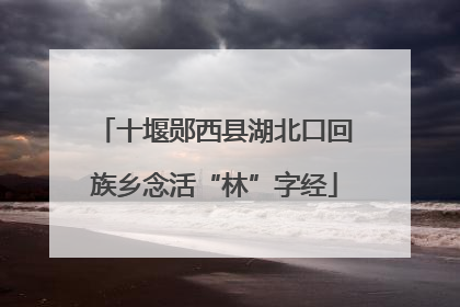 十堰郧西县湖北口回族乡念活“林”字经