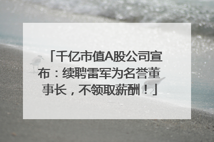 千亿市值A股公司宣布：续聘雷军为名誉董事长，不领取薪酬！