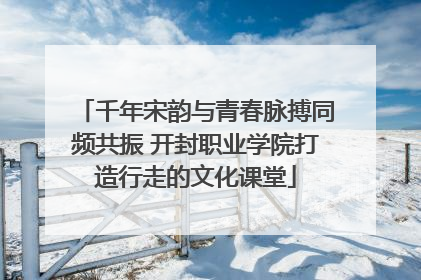 千年宋韵与青春脉搏同频共振 开封职业学院打造行走的文化课堂