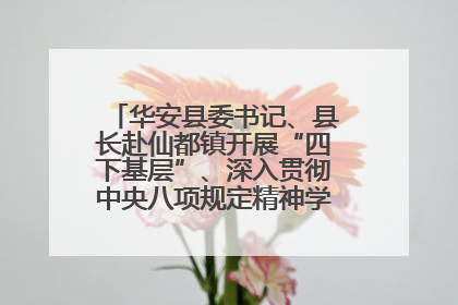 华安县委书记、县长赴仙都镇开展“四下基层”、深入贯彻中央八项规定精神学习教育工作调研