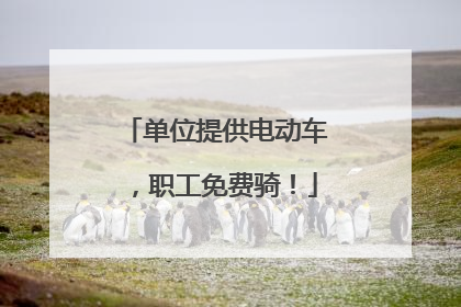 单位提供电动车，职工免费骑！
